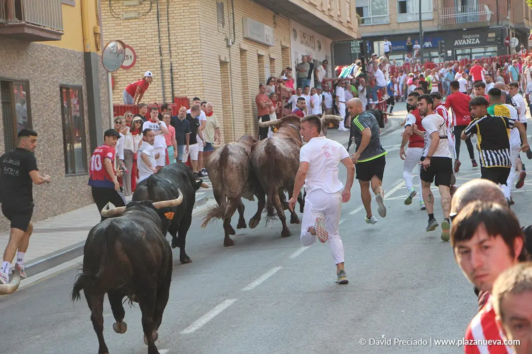 Fiestas de Alfaro 2025 Encierro d&iacute;a 15 6