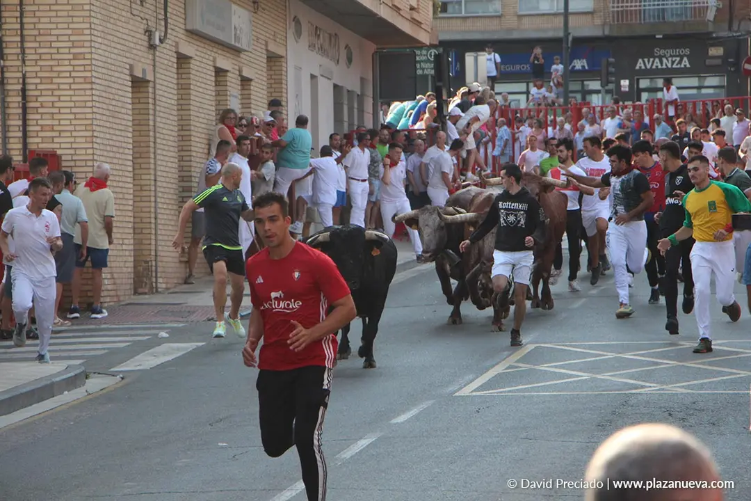 Fiestas de Alfaro 2025 Encierro d&iacute;a 15 9