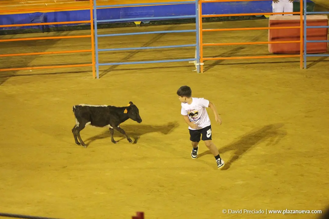 Fiestas de Alfaro 2025 Gran Prix 1