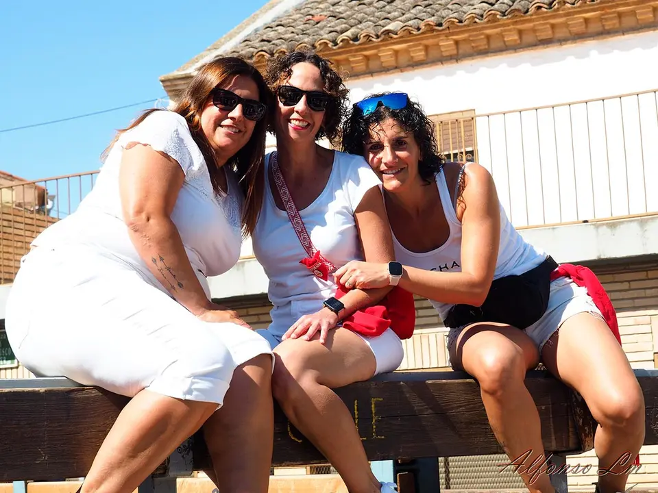 Fiestas de Ribaforada 2025 14