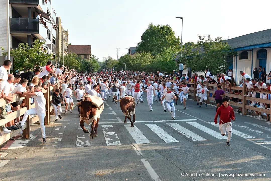 Fiestas de Tafalla 2025 Encierro d&iacute;a 15 1
