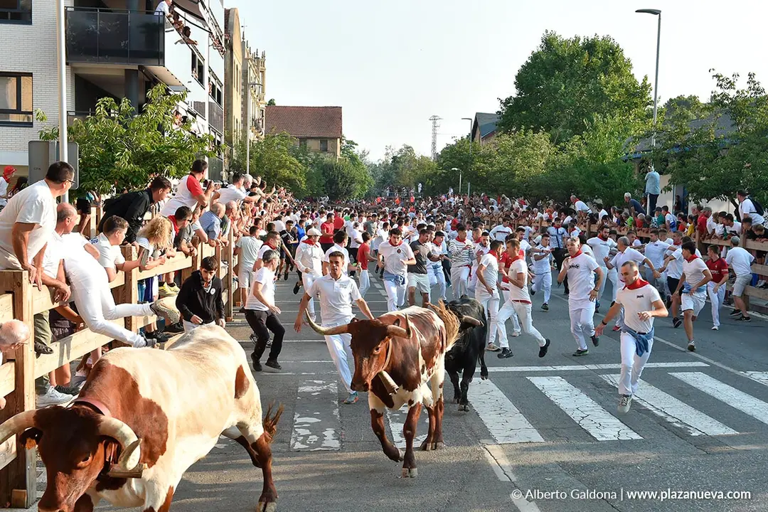 Fiestas de Tafalla 2025 Encierro d&iacute;a 15 2