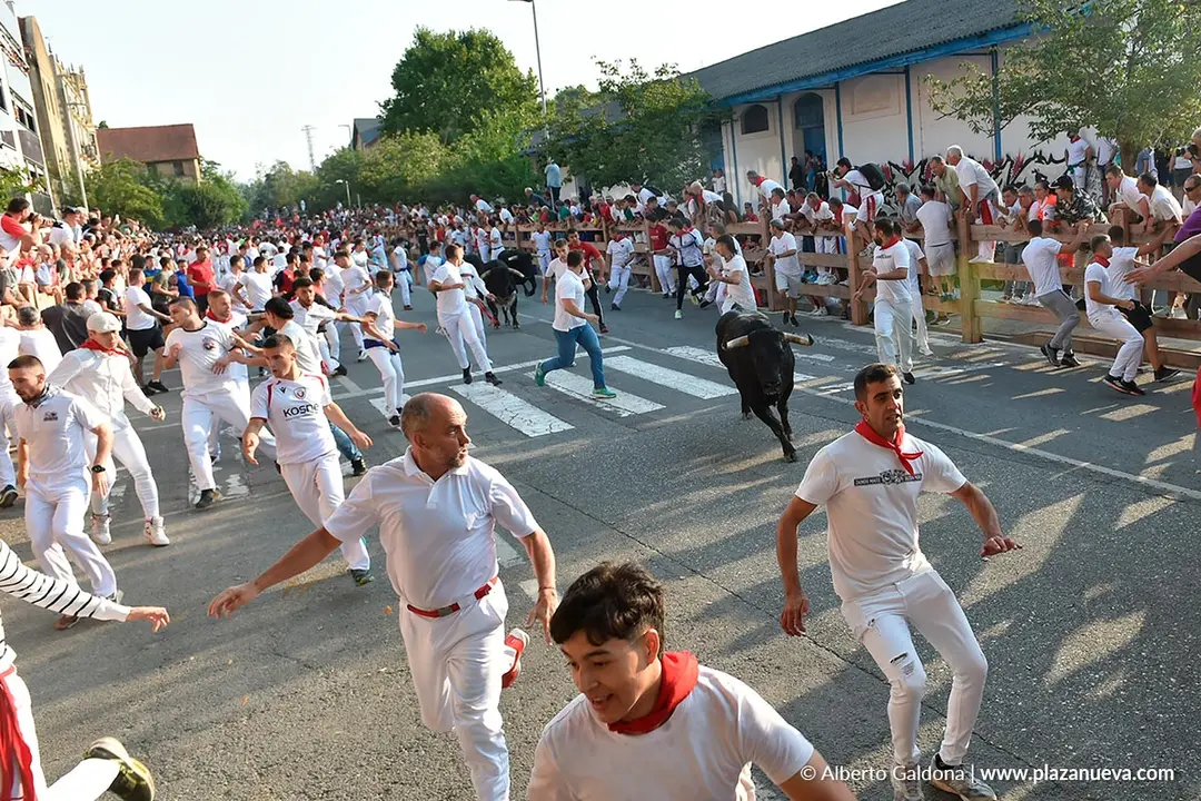 Fiestas de Tafalla 2025 Encierro d&iacute;a 15 4