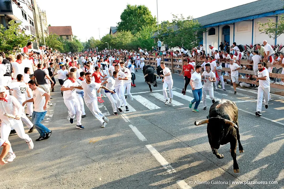 Fiestas de Tafalla 2025 Encierro d&iacute;a 15 5