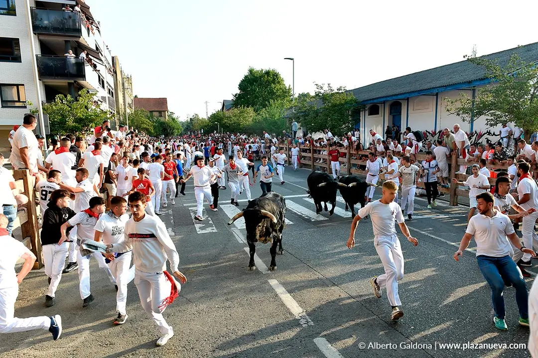 Fiestas de Tafalla 2025 Encierro d&iacute;a 15 6