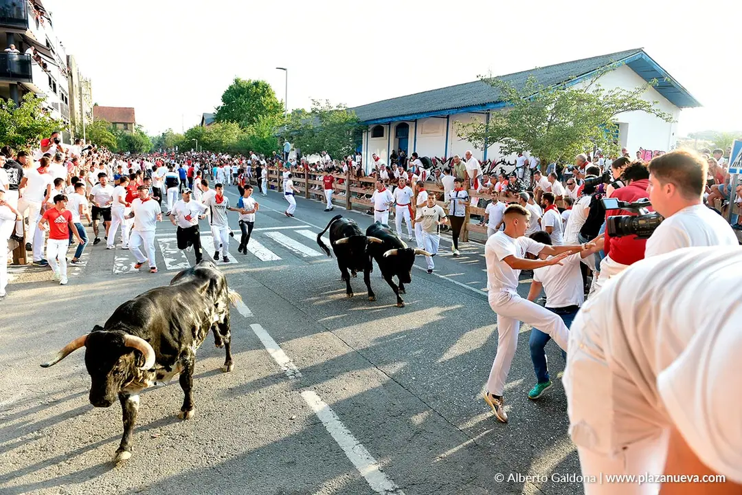 Fiestas de Tafalla 2025 Encierro d&iacute;a 15 7
