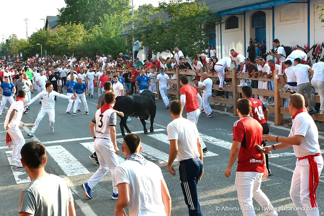 Fiestas de Tafalla 2025 Encierro d&iacute;a 15 9