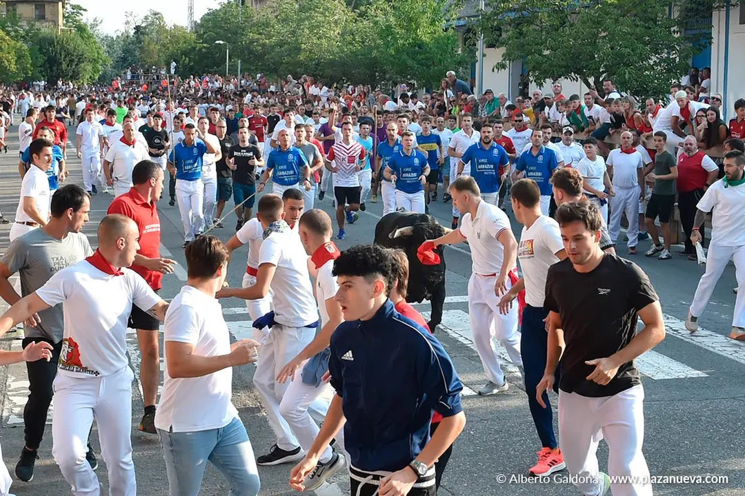 Fiestas de Tafalla 2025 Encierro d&iacute;a 15 11