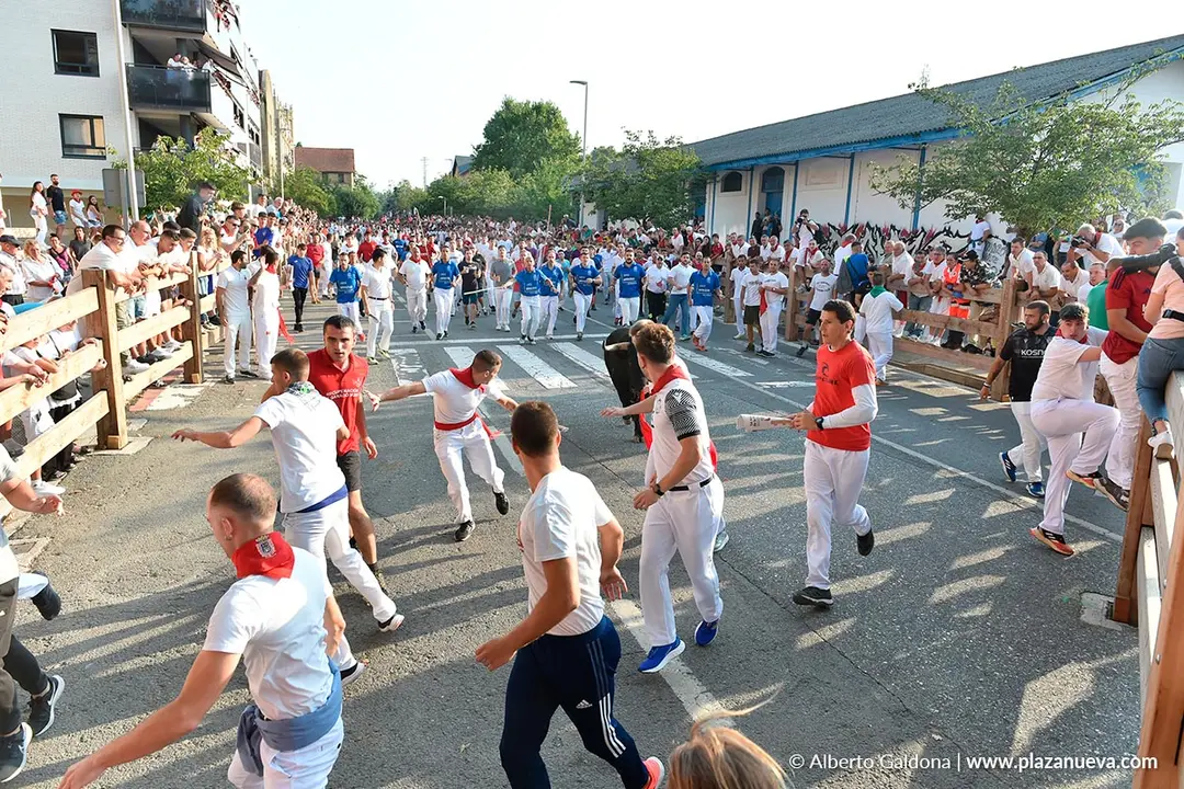Fiestas de Tafalla 2025 Encierro d&iacute;a 15 12