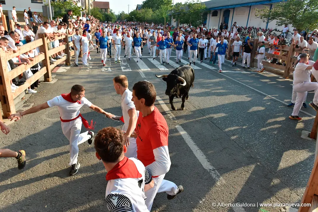 Fiestas de Tafalla 2025 Encierro d&iacute;a 15 13