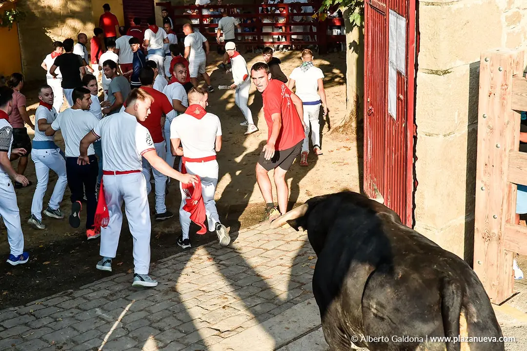 Fiestas de Tafalla 2025 Encierro d&iacute;a 15 16