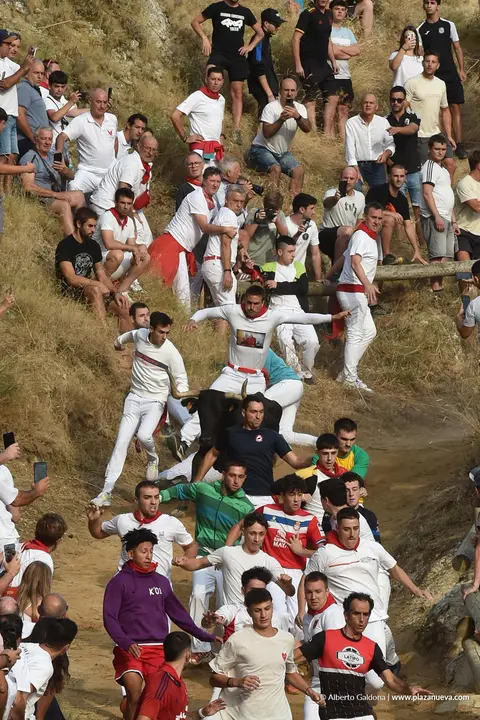 Fiestas de Falces 2025 Encierro del Pil&oacute;n d&iacute;a 18 2