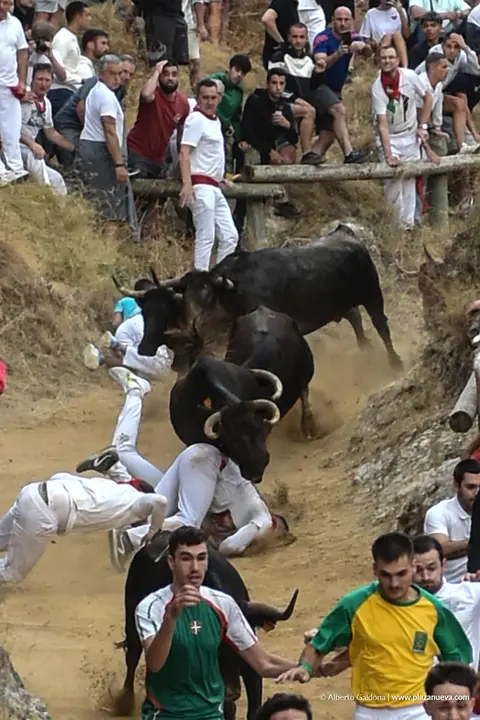 Fiestas de Falces 2025 Encierro del Pil&oacute;n d&iacute;a 19 7