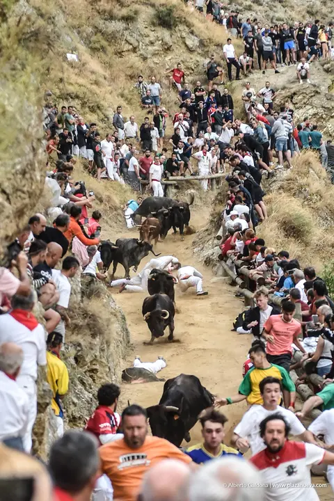 Fiestas de Falces 2025 Encierro del Pil&oacute;n d&iacute;a 19 11