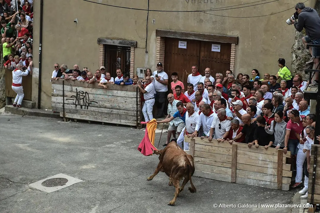 Fiestas de Falces 2025 Encierro del Pil&oacute;n d&iacute;a 19 15