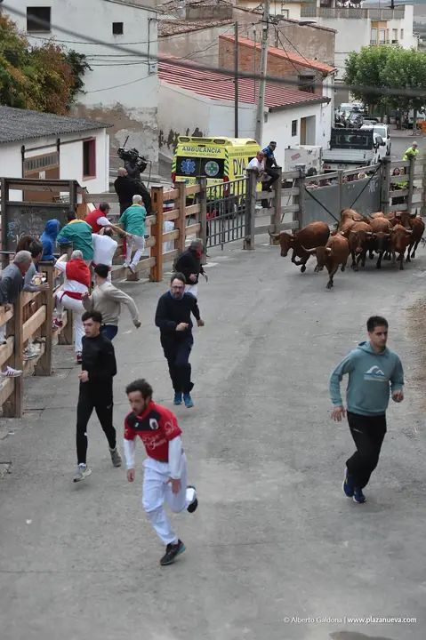 Fiestas de Falces 2025 Encierro del Pil&oacute;n d&iacute;a 20 1