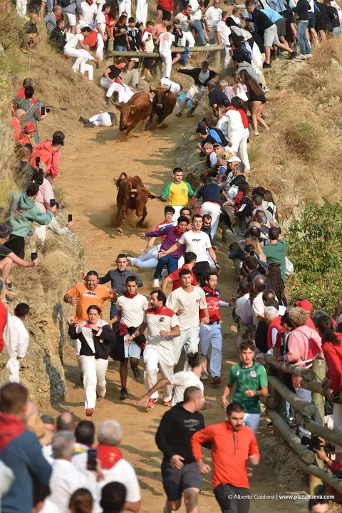 Fiestas de Falces 2025 Encierro del Pil&oacute;n d&iacute;a 20 7