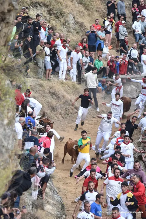 Fiestas de Falces 2025 Encierro del Pil&oacute;n d&iacute;a 22 3