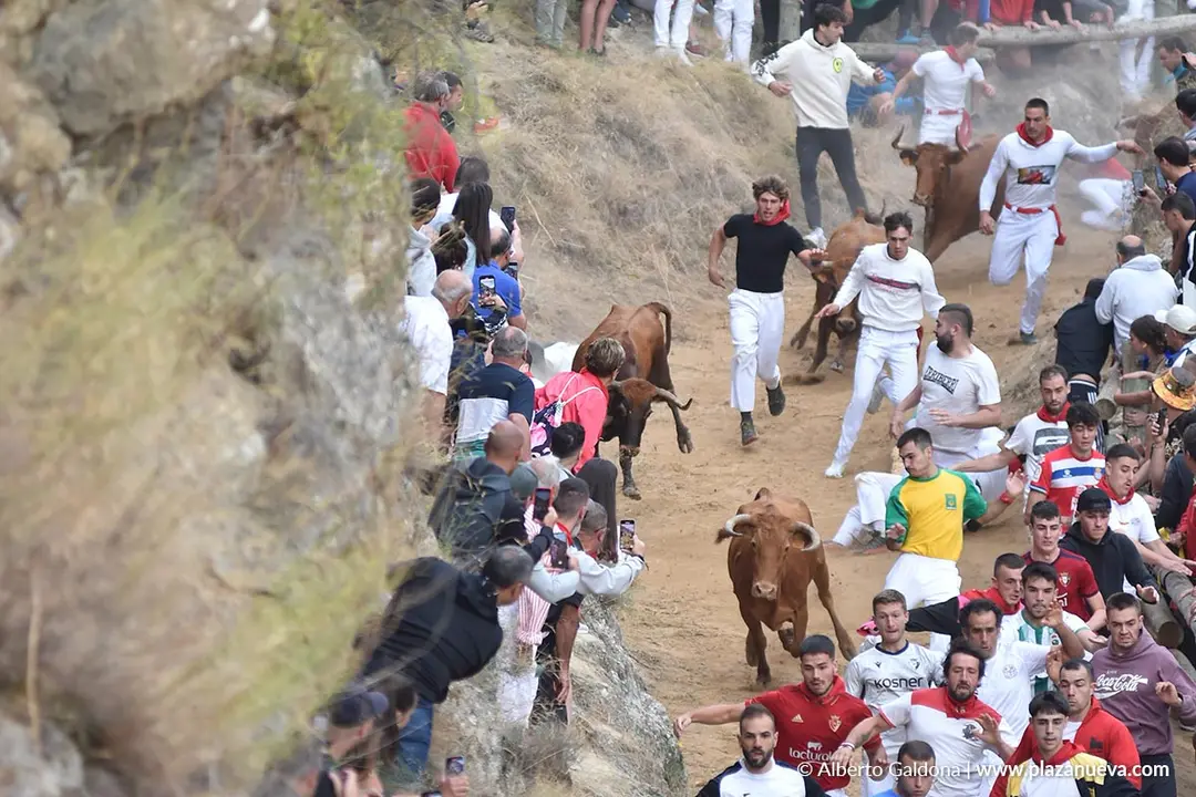 Fiestas de Falces 2025 Encierro del Pil&oacute;n d&iacute;a 22 4