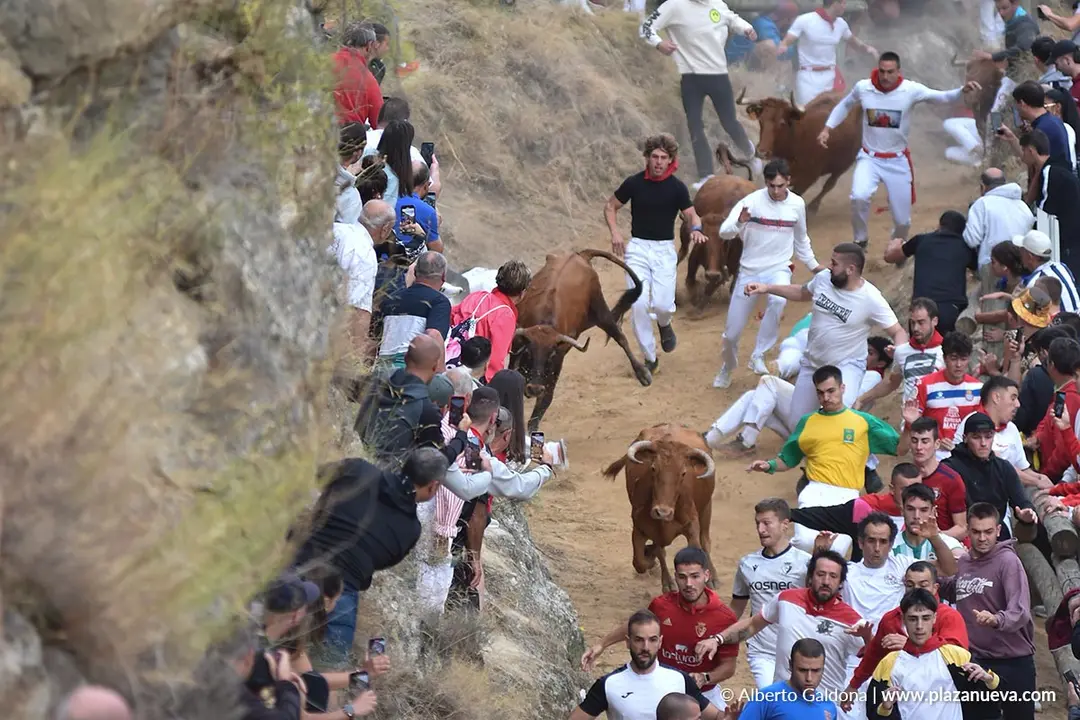 Fiestas de Falces 2025 Encierro del Pil&oacute;n d&iacute;a 22 5