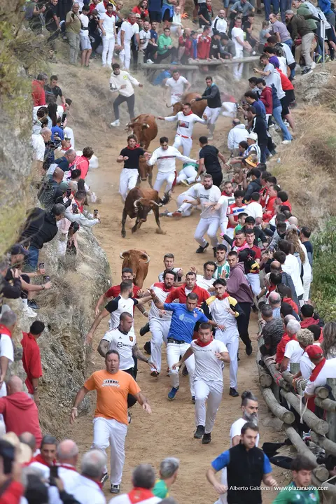 Fiestas de Falces 2025 Encierro del Pil&oacute;n d&iacute;a 22 6