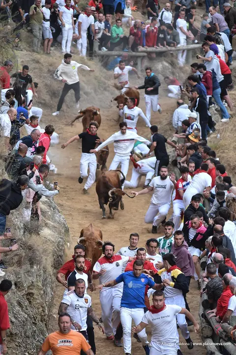 Fiestas de Falces 2025 Encierro del Pil&oacute;n d&iacute;a 22 7