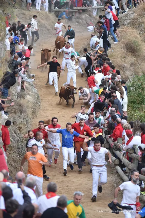 Fiestas de Falces 2025 Encierro del Pil&oacute;n d&iacute;a 22 8