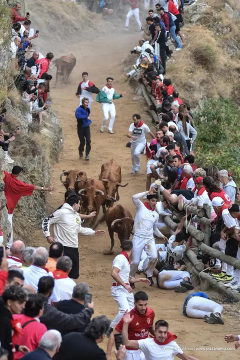 Fiestas de Falces 2025 Encierro del Pil&oacute;n d&iacute;a 22 16