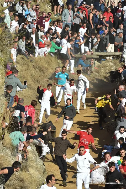 Fiestas de Falces 2025 Encierro del Pil&oacute;n d&iacute;a 23 4