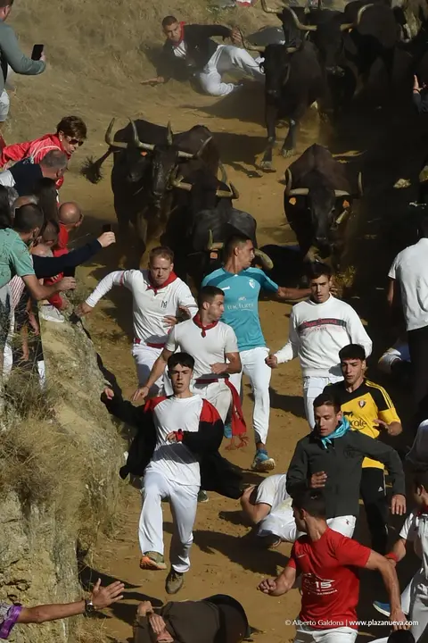 Fiestas de Falces 2025 Encierro del Pil&oacute;n d&iacute;a 23 11
