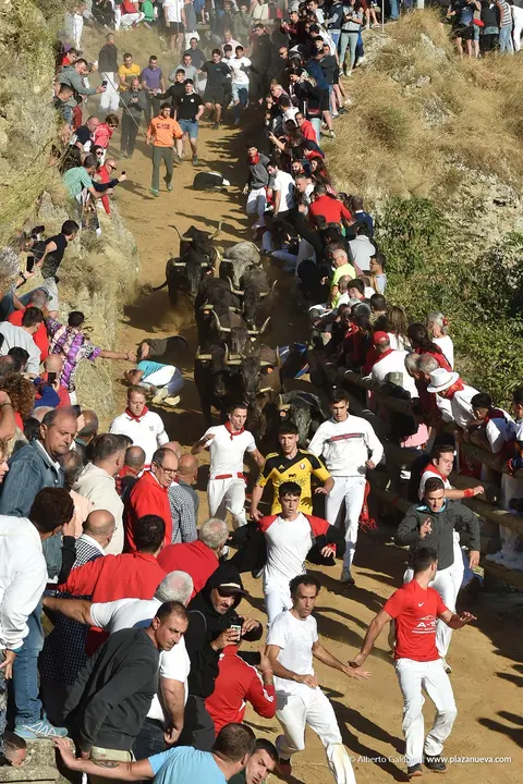 Fiestas de Falces 2025 Encierro del Pil&oacute;n d&iacute;a 23 14