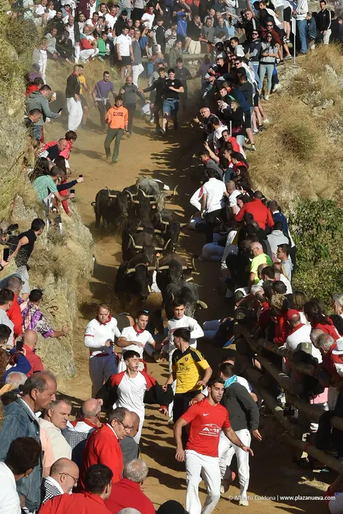 Fiestas de Falces 2025 Encierro del Pil&oacute;n d&iacute;a 23 13