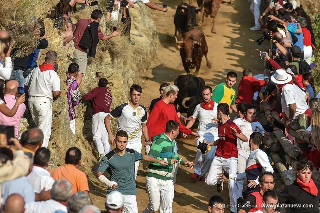 Fiestas de Falces 2025 Encierro del Pil&oacute;n d&iacute;a 24 9