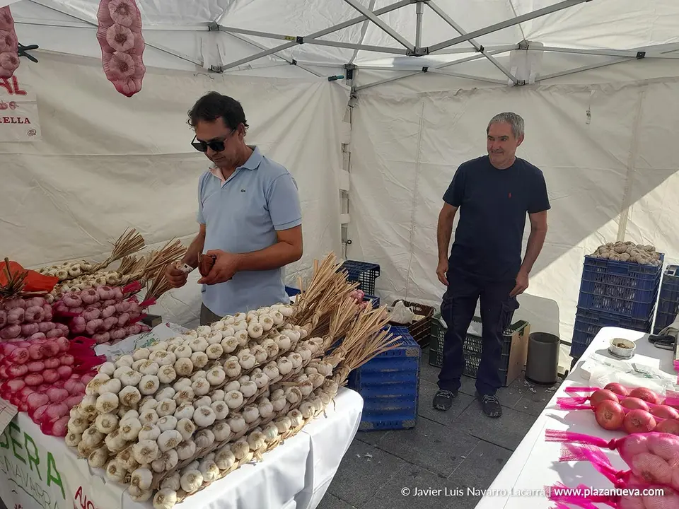 Fin de semana del Tomate Feo de Tudela 2025 Actos del s&aacute;bado 1