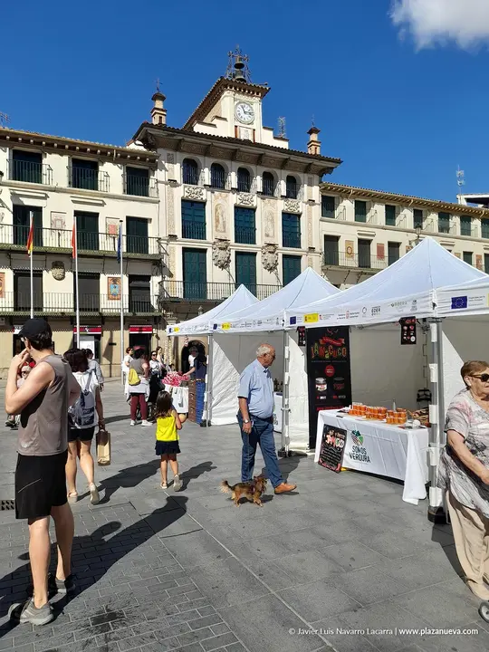 Fin de semana del Tomate Feo de Tudela 2025 Actos del s&aacute;bado 34
