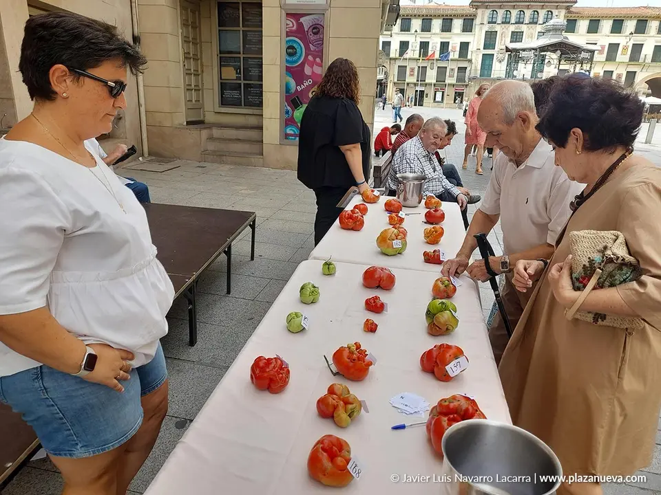 Fin de semana del Tomate Feo de Tudela 2025 Actos del domingo 2