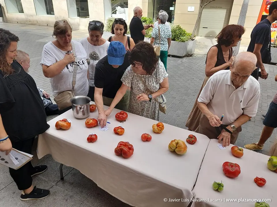 Fin de semana del Tomate Feo de Tudela 2025 Actos del domingo 4