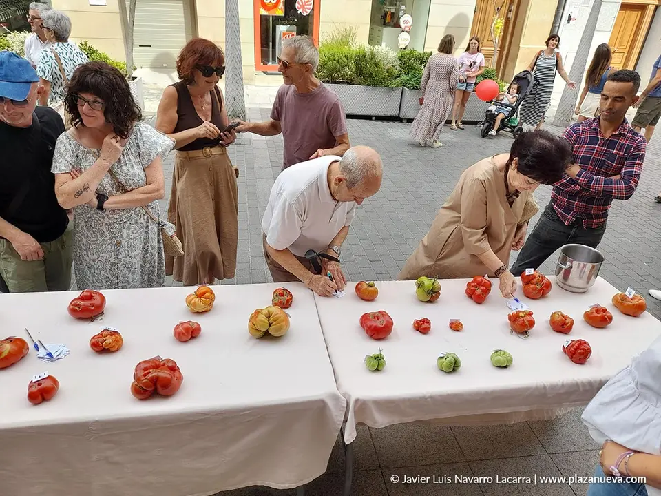 Fin de semana del Tomate Feo de Tudela 2025 Actos del domingo 3