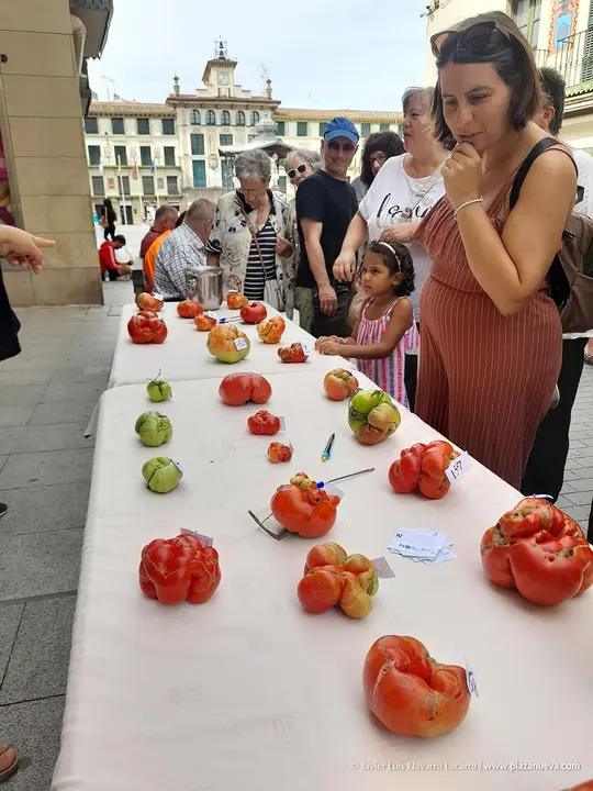 Fin de semana del Tomate Feo de Tudela 2025 Actos del domingo 5