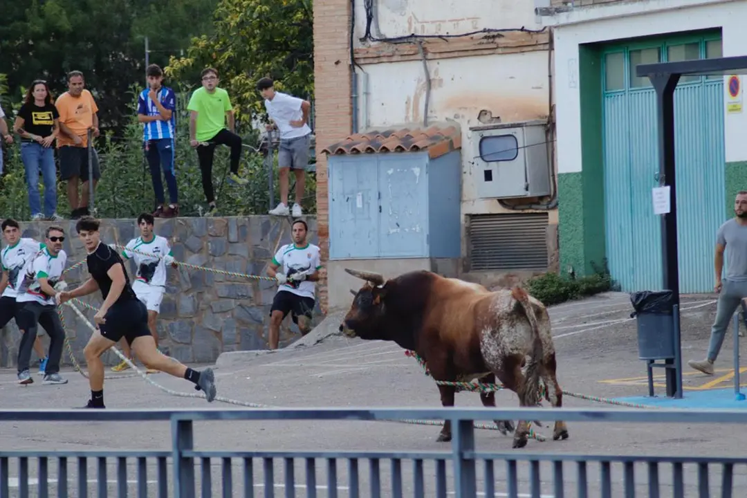 Fiestas de Los Fayos 2025 17