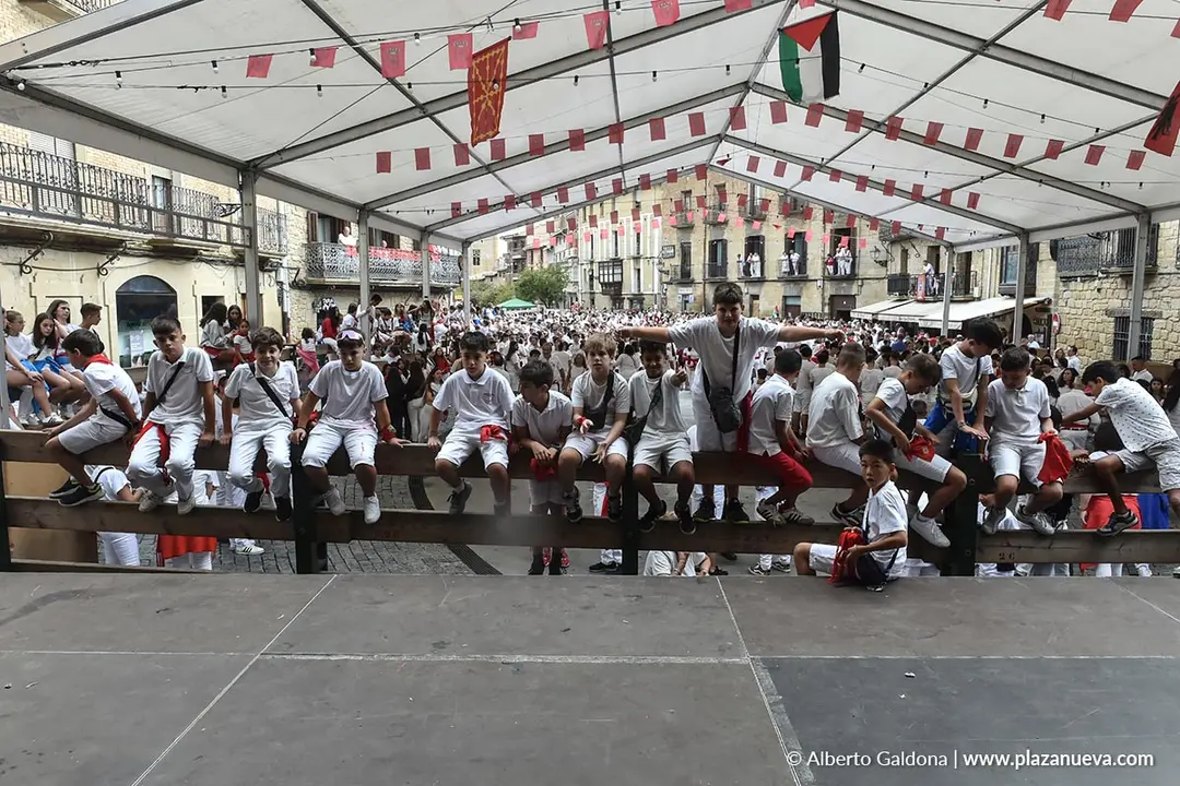 Fiestas de Olite 2025 3