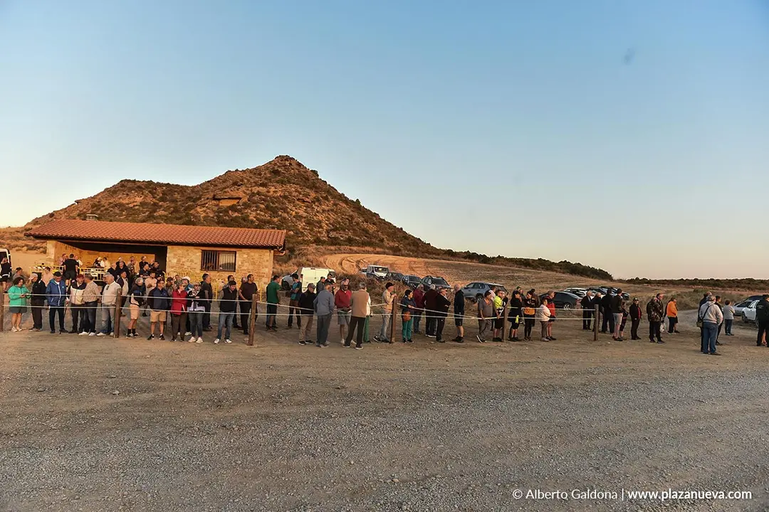 Entrada de ganado a Bardenas 2025 3