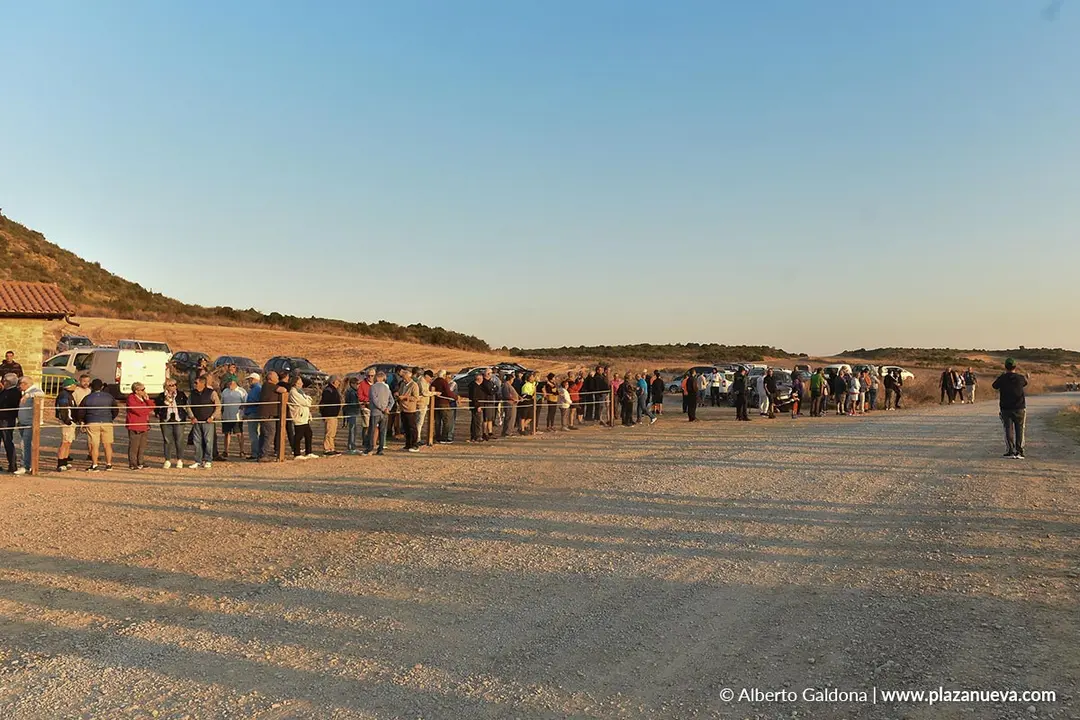 Entrada de ganado a Bardenas 2025 4