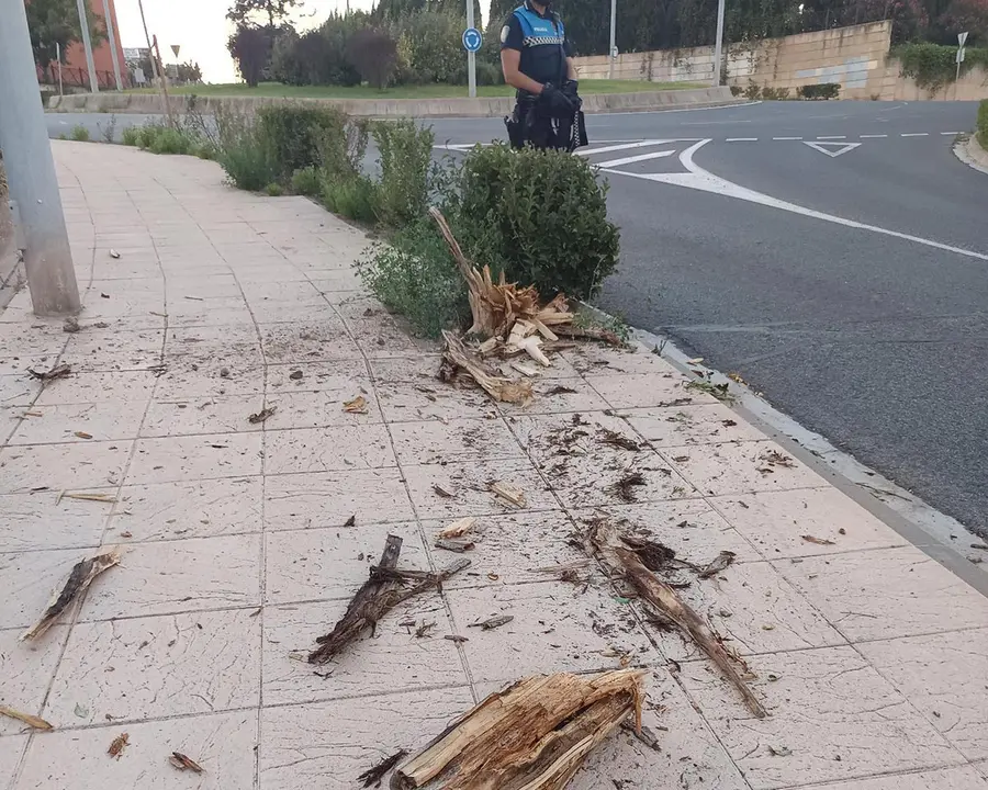 Accidente con da&ntilde;os en Carretera Alfaro 