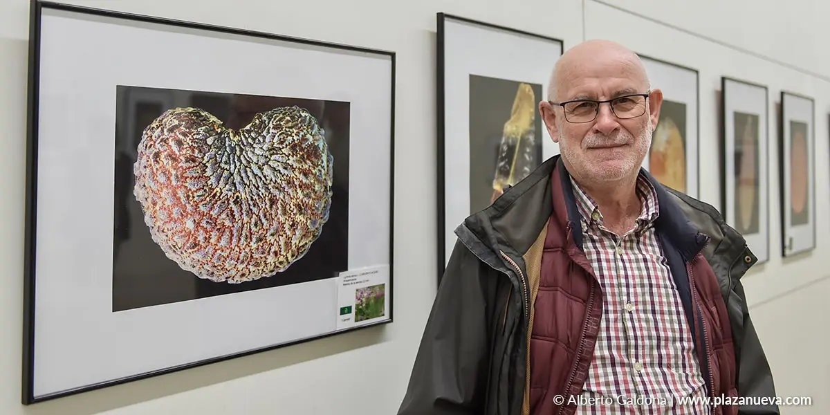 Cruz Miguel Babace, junto su exposici&oacute;n &lsquo;Semillas&rsquo;, en la Casa de Cultura de Peralta