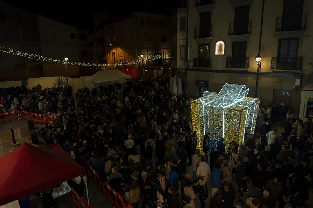 Encendido luces de Navidad 9