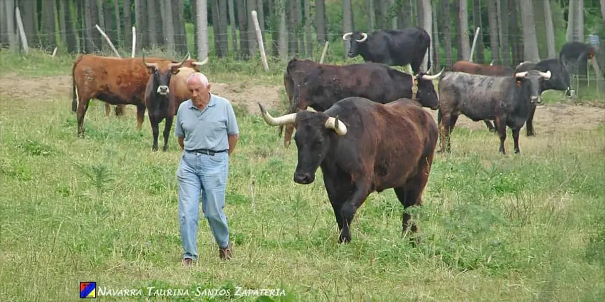 Este filme relata la relaci&oacute;n &uacute;nica entre Jos&eacute; Luis, vecino de Cadreita y el toro Capit&aacute;n, de la ganader&iacute;a de Santos&nbsp;Zapater&iacute;a de Valtierra