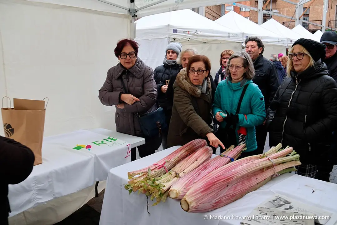 XVII Jornadas del Cardo Rojo de Corella 2025 38