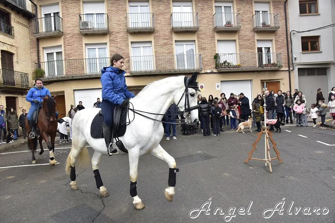 San Ant&oacute;n en Murchante 2026 4