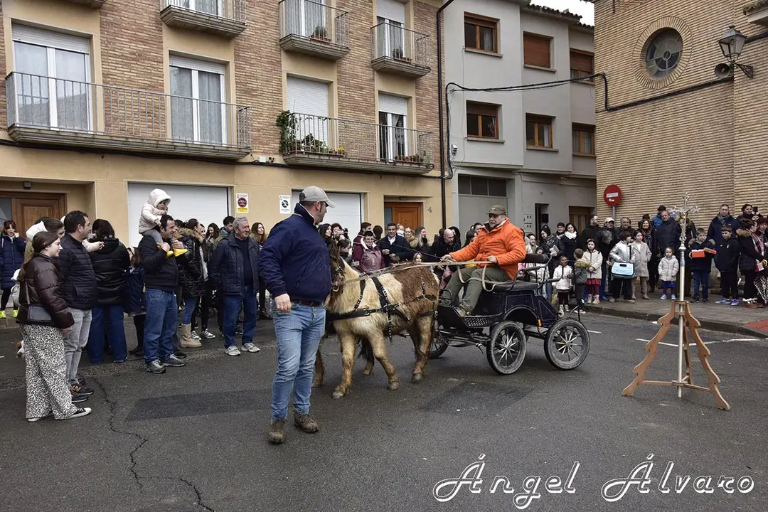 San Ant&oacute;n en Murchante 2026 5
